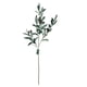 thumbnail image 1 of Rama De Olivo 74cm, 1 of 3