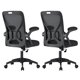 thumbnail image 1 of Sillas de oficina VASAGLE juego de 2 en negro tinta con soporte lumbar, 1 of 7