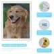 thumbnail image 3 of Golden Retriever Kits de Pintura de Diamantes para Adultos 5D DIY Diamond Art Kits Full Drill Diamond Dots para Regalo Decoración de Pared y Relajación Artes de Gemas 30*40cm, 3 of 6