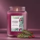thumbnail image 4 of Vela perfumada Yankee Candle Sparkling Winterberry 650 ml, 4 of 8