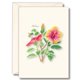 thumbnail image 1 of Set de tarjetas de notas Earth Sky + Water – 8 tarjetas con hibisco, 1 of 2