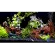 thumbnail image 2 of Decoración para acuario UNEAK Naufragio de barco pirata 48 cm, juego de 2 piezas de resina, 2 of 6