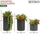 thumbnail image 2 of Plantas suculentas artificiales SEEKO (paquete de 3) con maceta negra, 2 of 6
