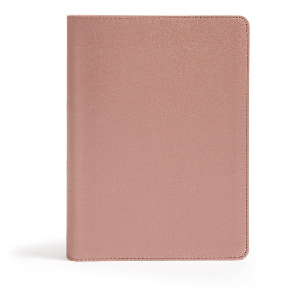 Bible Holman Bibles CSB She Reads Truth Rose Gold LeatherTouch