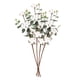 thumbnail image 1 of 4 Ramas De Flores De Algodón Falso De 21" Con Decoración De Granja De Hojas De Eucalipto, 1 of 5