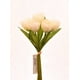 thumbnail image 1 of Ramo De Tulipanes Blanco 30 Cm, 1 of 2