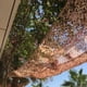 thumbnail image 4 of Malla Decorativa Camo 3 × 6 M Color Arena, 4 of 4