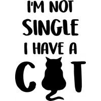 Rienda Libre Graphics - Decomural I'M Not Single Cat Ws-41491