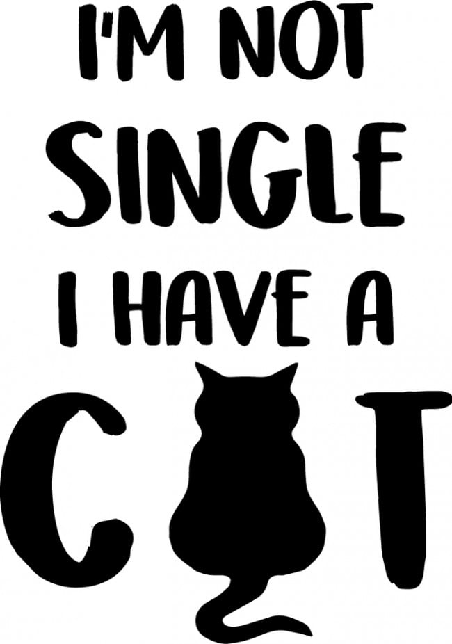 Rienda Libre Graphics - Decomural I'M Not Single Cat Ws-41491
