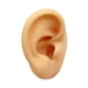 thumbnail image 4 of Modelo De Oreja De Silicona Reutilizable Para Exhibición De Aretes Y Venta De Fotos Oreja Izquierda, 4 of 5