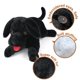 thumbnail image 3 of Perro de laboratorio negro LotFancy de 53 cm para niños, 3 of 7