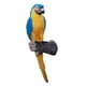 thumbnail image 2 of Simulación Resina Jardín Parrot Estatua Patio Trasero Macaws Pájaro Decoración De La Pared Césped, 2 of 5