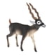 thumbnail image 2 of Modelo De Animal Figura De Juguete Figuras De Animales Realistas Decoración Del Hogar 7.8x2.1x8.2cm, 2 of 5