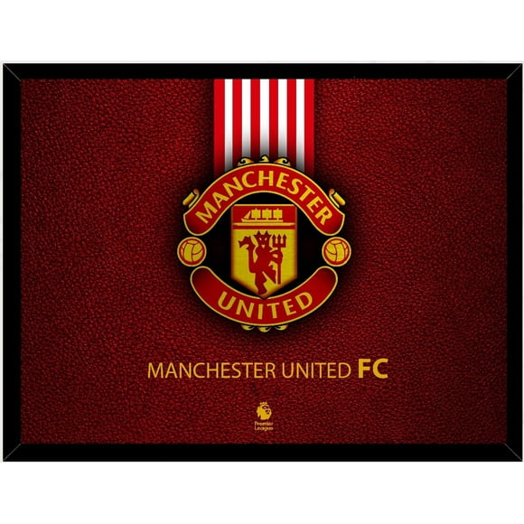Cuadro Decorativo Manchester United Medidas 30x40 CM