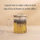 thumbnail image 3 of Tetera Rishi Tea Simple Brew de vidrio borosilicato de 400 ml, 3 of 6