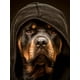 thumbnail image 3 of Cool Dog Pattern Print Men's Comfy T-shirt, Graphic Tee Men's Summer Clothes, Men's Outfits, 3 of 3