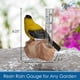 thumbnail image 4 of Pluviómetro decorativo Goldfinch de resina para exterior 13 cm, 4 of 6