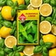 thumbnail image 3 of Semilla Aromática Albahaca Limón Las Encinas, 3 of 5
