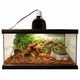 thumbnail image 4 of Reptile Substrate Zoo Med Premium Repti Bark, bolsa de 9,5 litros, 4 of 5