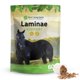 thumbnail image 1 of Suplemento para Caballos Silver Lining Herbs Laminae Support 454 g, 1 of 9