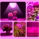 thumbnail image 2 of Bombilla LED de espectro completo para cultivo de plantas de interior, E26, E27, para invernaderos de interior, hidropónicos y suculentas., 2 of 8