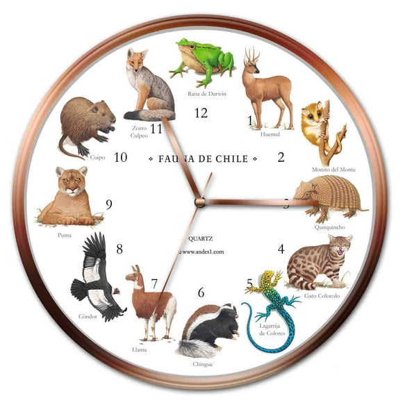 Reloj De Fauna Chilena