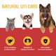 thumbnail image 3 of Tratamiento de infecciones del tracto urinario: arándano rojo para perros y gatos, 3 of 6