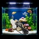 thumbnail image 5 of Luz LED para Acuario Xinjincang Multicolor, 5 of 9