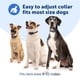 thumbnail image 5 of Collar Antiladridos Core Digital A Prueba De Agua Para Perros De Más De 8 Libras, 5 of 9