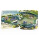 thumbnail image 4 of Libro de cartón Cottage Door Press Peek-a-Flap Ocean Kids de 2 a 5 años, 4 of 7