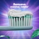 thumbnail image 5 of Pasta Dental Oral-B 3D White Brilliant Fresh Anticaries Con Flúor, 107 ml, 5 of 5
