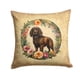 thumbnail image 1 of Almohada Decorativa Boykin Spaniel 14x14, 1 of 7