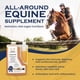thumbnail image 3 of Suplemento Para Caballos Ultimate Oec Omega 3 64 Fl Oz, 3 of 8