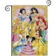 thumbnail image 1 of Bandera de Jardín Temática Princesas Disney 28cm x 45cm, 1 of 5