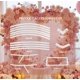 thumbnail image 3 of Arco de Globos IKULE de 2 m en Forma de Corazón con Soporte Metálico, 3 of 7