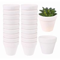 Genérico - Set 6 Macetero Mini Suculentas Jardinería Cultivo Jhn