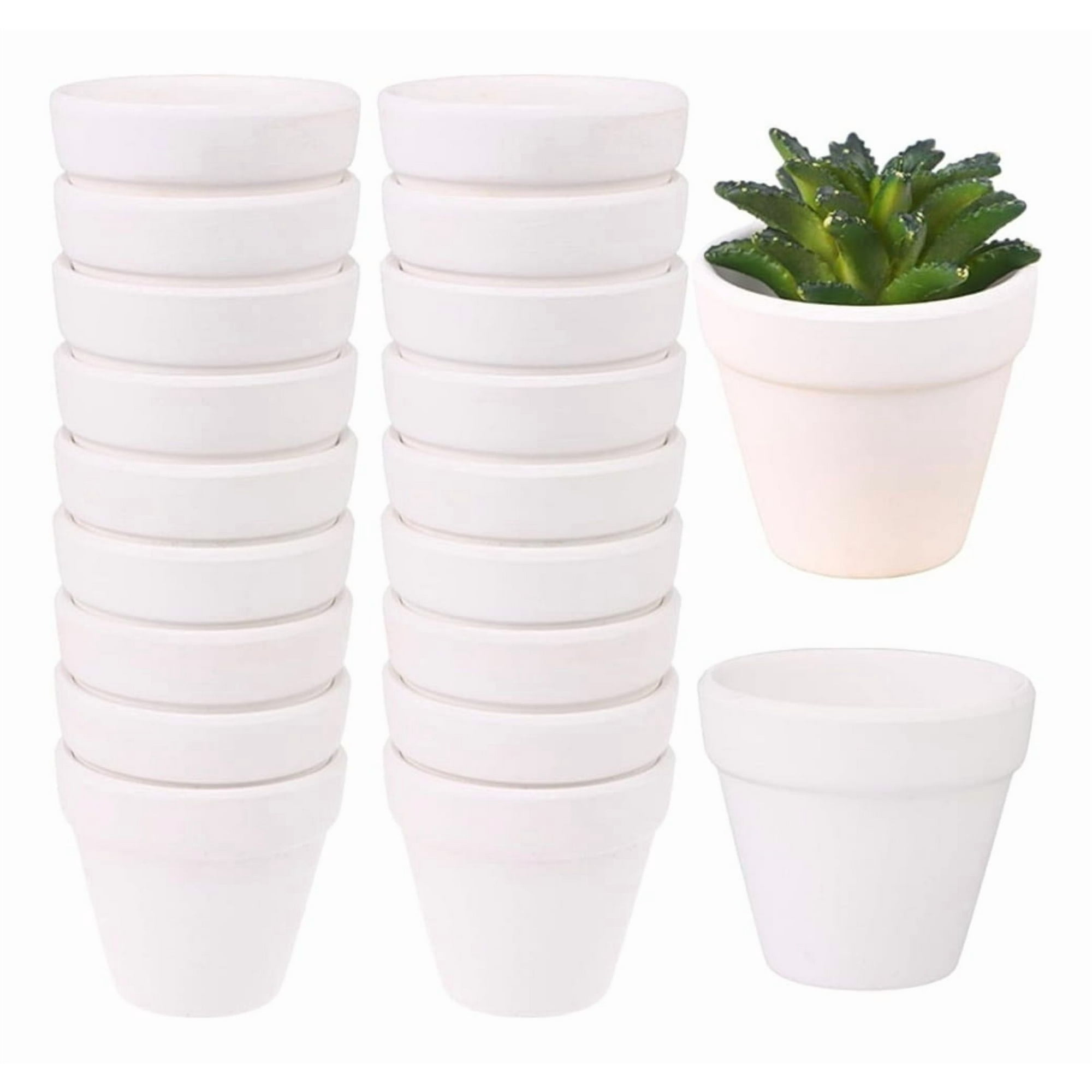 Genérico - Set 6 Macetero Mini Suculentas Jardinería Cultivo Jhn