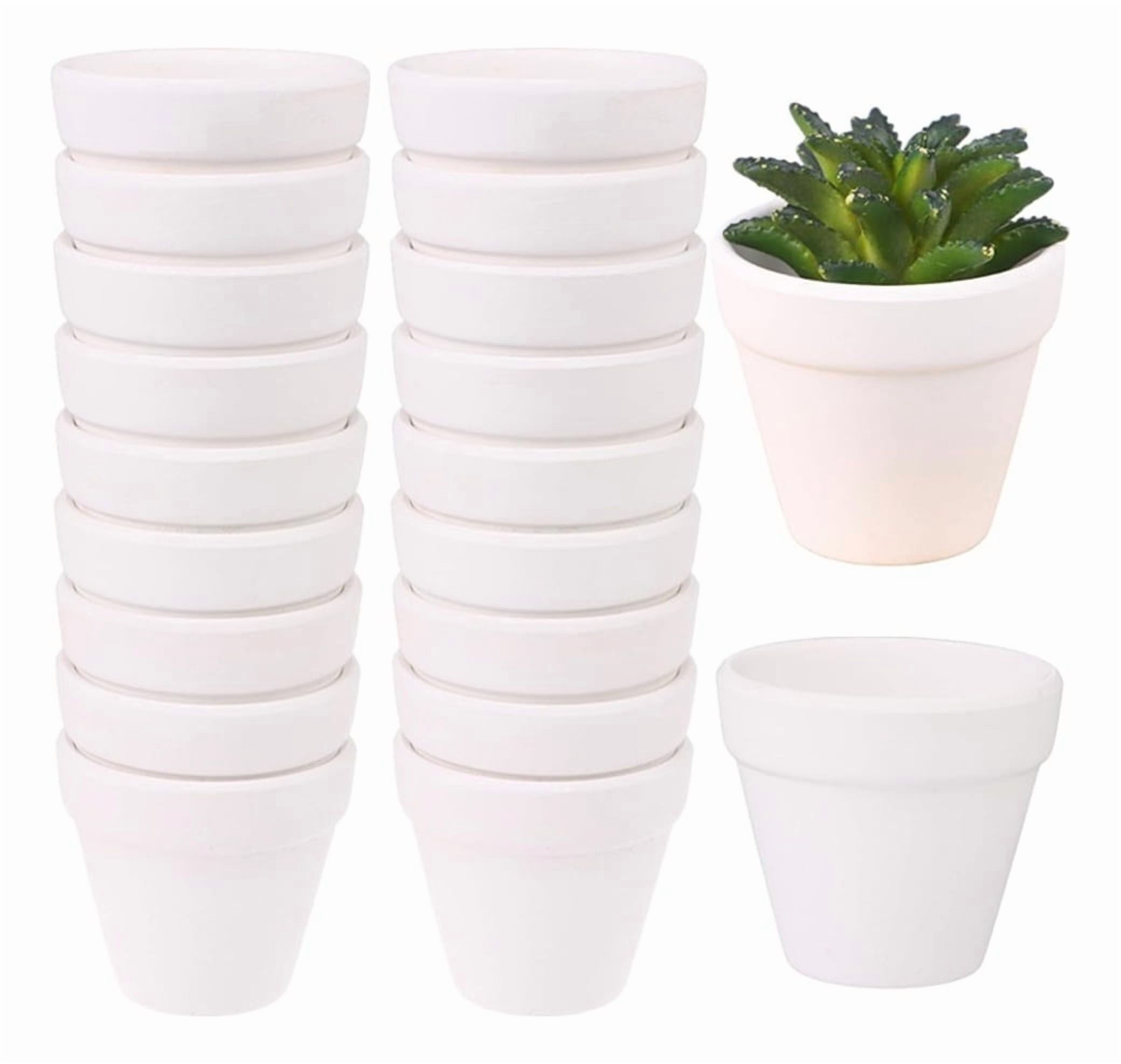 Genérico - Set 6 Macetero Mini Suculentas Jardinería Cultivo Jhn