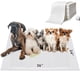 thumbnail image 1 of Alfombrillas higiénicas para perros HQ4US 4LEGS 91 cm × 61 cm, paquete de 35, 1 of 7