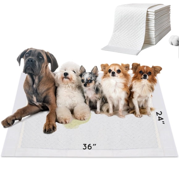Alfombrillas higiénicas para perros HQ4US 4LEGS 91 cm × 61 cm, paquete de 35