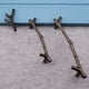 thumbnail image 5 of Tiradores 10 Unidades Tiradores Vintage Para Ramas De Árbol Ramas De Armario Cajones De, 5 of 9