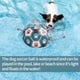 thumbnail image 4 of Pelota de fútbol QDAN de juguete para perros con correas para tira y afloja y jugar en el agua, 4 of 9