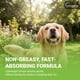 thumbnail image 5 of Spray de aseo para mascotas Vetoquinol Groom Aid 215 ml, aroma fresco, 5 of 8