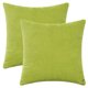thumbnail image 1 of REGALWOVEN 2 Piezas de Fundas de Almohada de Pana Clásica Moderna Suave y Sólida para Sofá, Sofá, Hogar, Dormitorio Verde 18" x 18", 1 of 6