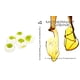 thumbnail image 5 of Libro Cocina modernista: el arte y la ciencia de la cocina, 5 of 6