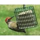 thumbnail image 5 of Golosina Bird Seet C&S Woodpecker, 311 g, 5 of 9