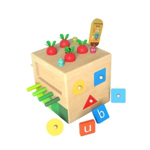 Bothyi - Caja De Permanencia De Objetos, Caja De Monedas Montessori, Juguetes Para Niñas En Edad Preescolar, Regalos