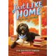 thumbnail image 1 of Scholastic – Los perros curativos (Just Like Home, Libro 3), 1 of 1