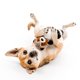 thumbnail image 3 of Juguete para perro Playology Pack de 2: Mapache y Ardilla con aroma, 3 of 6