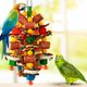thumbnail image 2 of Juguetes para loros grandes Bird Toys, de mazorca de maíz natural, 2 of 3